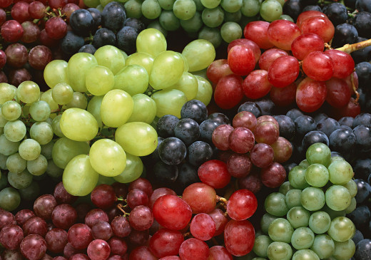 543375 (a): :2950x2068